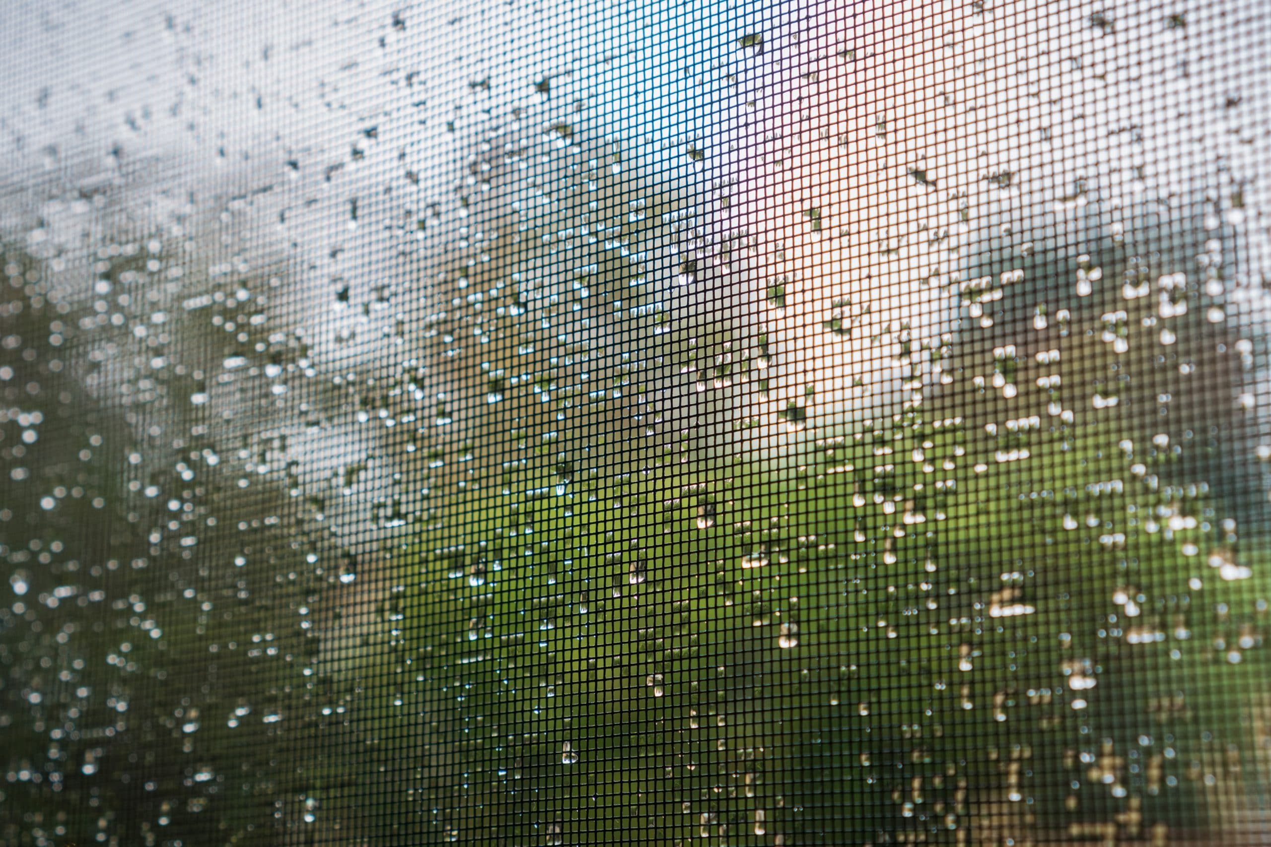 raindrops on a mosquito net on a rainy day; green trees in the b