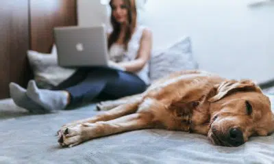 sprawdzone sposoby jak nauczyc sie kontrolowac wydatki